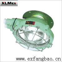 BXL-100隔爆型防爆吸顶灯