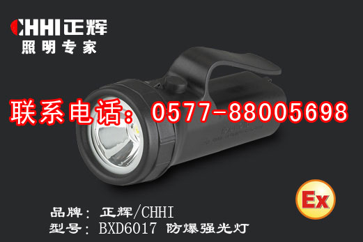 BXD6017 防爆强光灯