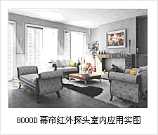 正宏泰公司(BELIEF)BEL-8000D高性能红外双元探测器 厂家直供 正宏泰公司(BELIEF)BEL-8000D高性能红外双元探测器 厂家直供
