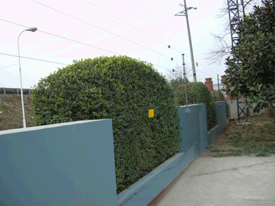 无锡电子围栏 无锡电子围栏安装 无锡电子围栏报价