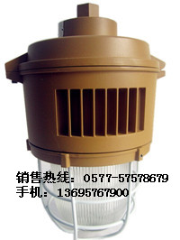 　　SBF6204免维护节能防水防尘防腐灯