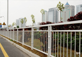 深圳新型道路甲型护栏 乙型护栏 打造护栏行业的精品