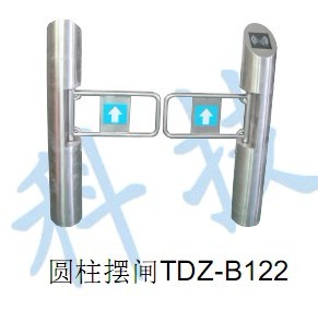 供应TDZ圆柱标准摆闸