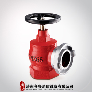 厂家批发直销SNZ65旋转型室内消火栓