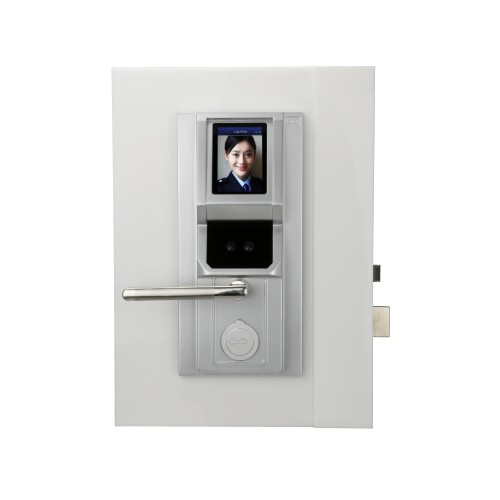 人脸识别一体化门禁锁