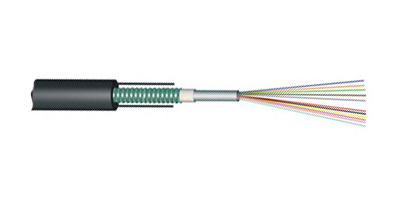 12芯单模中心管式铠装光缆GYXTW-12B1 通信架空光缆 批发光缆